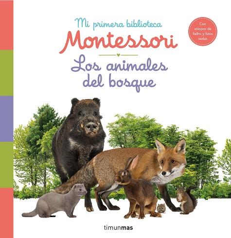 Los animales del bosque. Mi primera biblioteca Montessori | 9788408244608 | VV.AA. | Librería Castillón - Comprar libros online Aragón, Barbastro