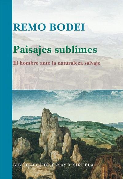 PAISAJES SUBLIMES | 9788498414080 | BODEI, REMO | Librería Castillón - Comprar libros online Aragón, Barbastro