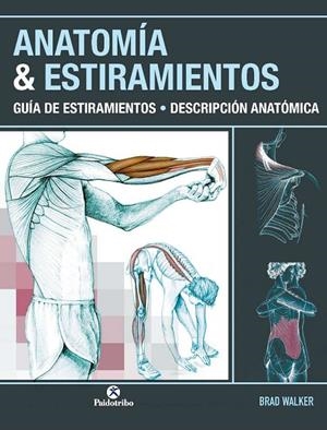 ANATOMÍA & ESTIRAMIENTOS : GUÍA DE ESTIRAMIENTOS : DESCRIPCIÓN ANATÓMICA (COLOR) | 9788499100012 | WALKER, BRAD | Librería Castillón - Comprar libros online Aragón, Barbastro