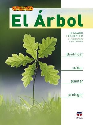 EL ÁRBOL | 9788479027834 | Fischesser, Bernard | Librería Castillón - Comprar libros online Aragón, Barbastro
