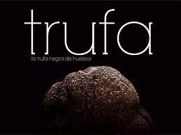TRUFA : LA TRUFA NEGRA DE HUESCA | 9788492749133 | Alvira Banzo, Julio | Librería Castillón - Comprar libros online Aragón, Barbastro