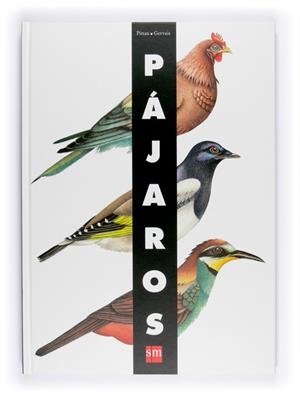 PAJAROS | 9788467541250 | PITTAU, FRANCESCO | Librería Castillón - Comprar libros online Aragón, Barbastro