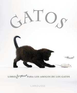 GATOS : LIBRO SORPRESA PARA LOS AMIGOS DE LOS GATOS | 9788480169349 | Librería Castillón - Comprar libros online Aragón, Barbastro