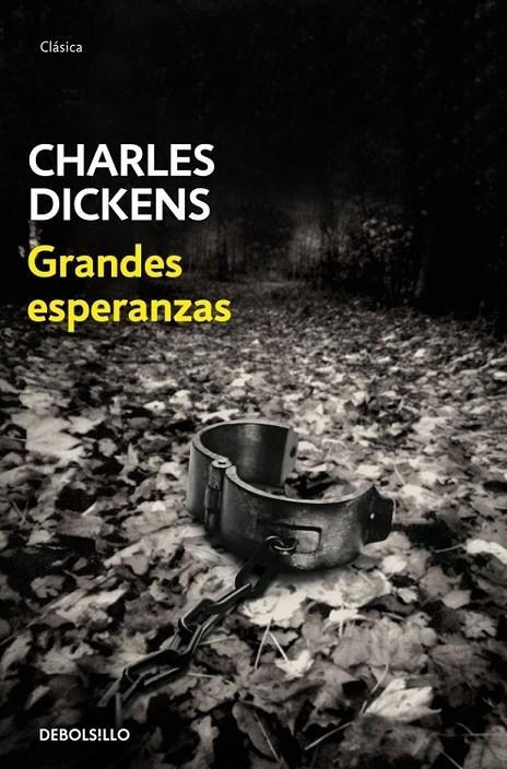 GRANDES ESPERANZAS | 9788483469880 | DICKENS, CHARLES | Librería Castillón - Comprar libros online Aragón, Barbastro