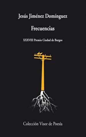 Frecuencias | 9788498958133 | Jiménez Domínguez, Jesús | Librería Castillón - Comprar libros online Aragón, Barbastro