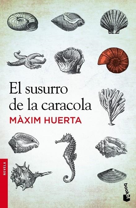 susurro de la caracola, El | 9788427030251 | Huerta, Maxím | Librería Castillón - Comprar libros online Aragón, Barbastro