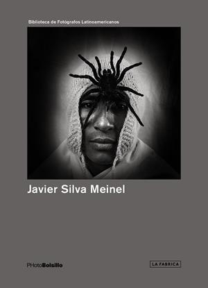 JAVIER SILVA MEINEL | 9788415303831 | SILVA MEINEL, JAVIER | Librería Castillón - Comprar libros online Aragón, Barbastro