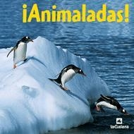 ANIMALADAS - EL MUNDO EN FOTOS | 9788424623678 | Librería Castillón - Comprar libros online Aragón, Barbastro