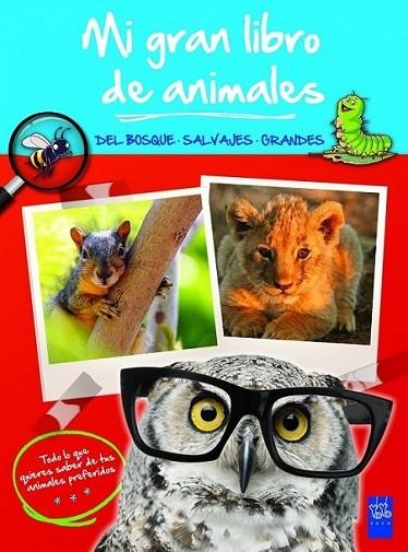 Mi gran libro de animales azul | 9788408008484 | YOYO | Librería Castillón - Comprar libros online Aragón, Barbastro
