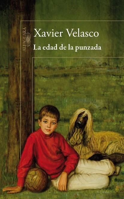 edad de la punzada, La | 9788420413334 | Xavier Velasco | Librería Castillón - Comprar libros online Aragón, Barbastro