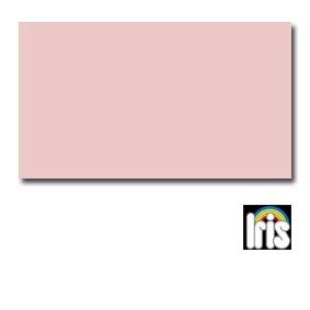 CARTULINA A4 185GR 50H GUARRO IRIS 10 ROSA | 3148954222554 | Librería Castillón - Comprar libros online Aragón, Barbastro