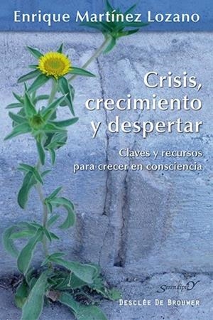 Crisis, crecimiento y despertar | 9788433026323 | Martínez Lozano, Enrique | Librería Castillón - Comprar libros online Aragón, Barbastro