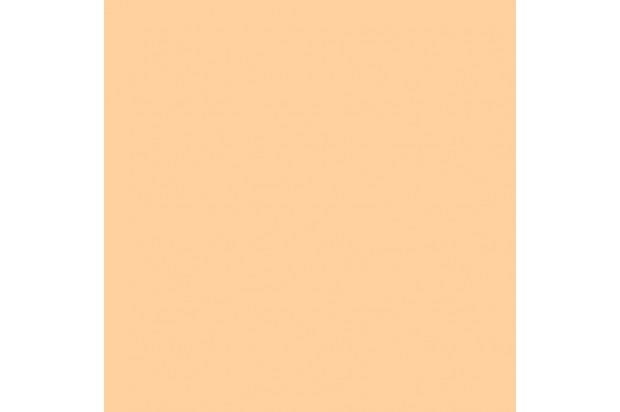 GOMA EVA 2MM 450X600MM CARNE | 8422951033098 | Librería Castillón - Comprar libros online Aragón, Barbastro
