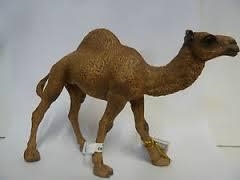 FIGURA PAPO DROMEDARIO | 3465000501518 | Librería Castillón - Comprar libros online Aragón, Barbastro