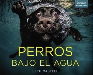 Perros bajo el agua | 9788441534612 | Castel, Seth | Librería Castillón - Comprar libros online Aragón, Barbastro