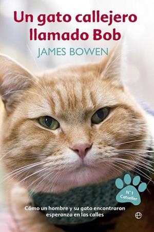 Un gato callejero llamado Bob | 9788499709451 | Bowden, James | Librería Castillón - Comprar libros online Aragón, Barbastro