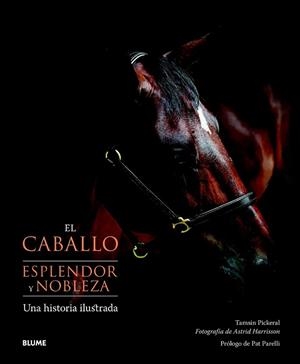 El caballo. Esplendor y nobleza | 9788415317074 | Pickeral, Tamsin; Harrisson, Astrid | Librería Castillón - Comprar libros online Aragón, Barbastro
