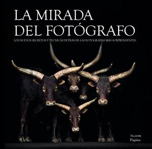 La mirada del fotógrafo | 9788441534254 | 1x.com | Librería Castillón - Comprar libros online Aragón, Barbastro
