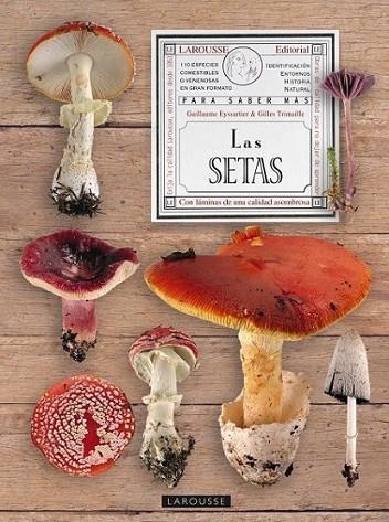 El Gran libro de las setas | 9788480169738 | Librería Castillón - Comprar libros online Aragón, Barbastro