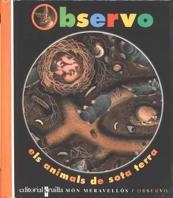 ANIMALS DE SOTA TERRA OBSERVO | 9788482865157 | DELAFOSSE, CLAUDE | Librería Castillón - Comprar libros online Aragón, Barbastro