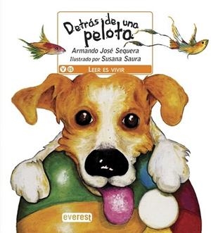 Detrás de una pelota | 9788444149240 | SEQUERA, ARMANDO JOSE | Librería Castillón - Comprar libros online Aragón, Barbastro