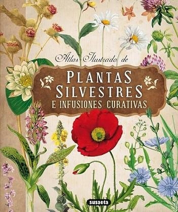 Atlas ilustrado de plantas silvestres e infusiones curativas | 9788467722864 | Tomanová, Eliska | Librería Castillón - Comprar libros online Aragón, Barbastro