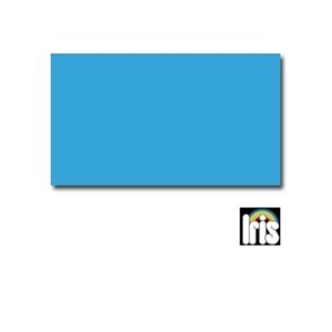 CARTULINA A4 185GR 50H GUARRO IRIS 21 AZUL MALDIVAS | 8422714039558 | Librería Castillón - Comprar libros online Aragón, Barbastro