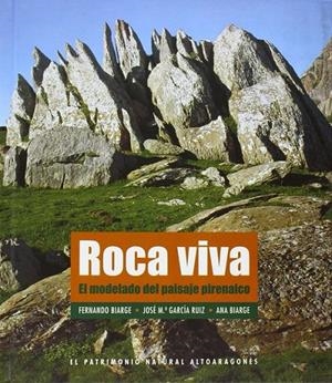 ROCA VIVA EL MODELADO DEL PAISAJE PIRENAICO | 9788492226344 | BIARGE, FERNANDO | Librería Castillón - Comprar libros online Aragón, Barbastro