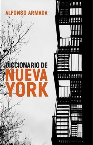 DICCIONARIO DE NUEVA YORK | 9788483079041 | ARMADA, ALFONSO | Librería Castillón - Comprar libros online Aragón, Barbastro