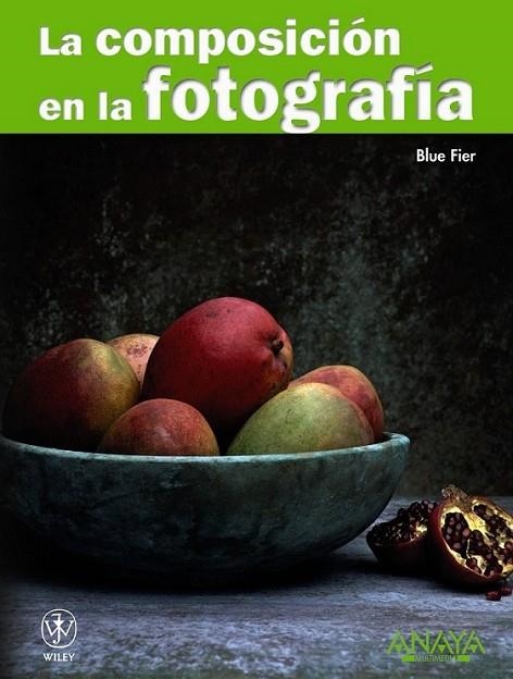 COMPOSICIÓN EN LA FOTOGRAFÍA, LA | 9788441526983 | FIER, BLUE | Librería Castillón - Comprar libros online Aragón, Barbastro