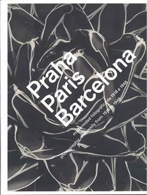 PARIS, PRAGA, BARCELONA : MODERNIDAD FOTOGRAFICA DE 1918 A 1948 | 9788492841028 | VARIOS AUTORES | Librería Castillón - Comprar libros online Aragón, Barbastro