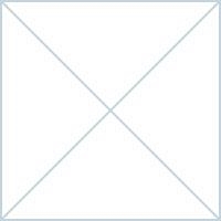 HISTORIA NATURAL LIBROS XII XVI | 9788424915254 | PLINIO EL VIEJO | Librería Castillón - Comprar libros online Aragón, Barbastro