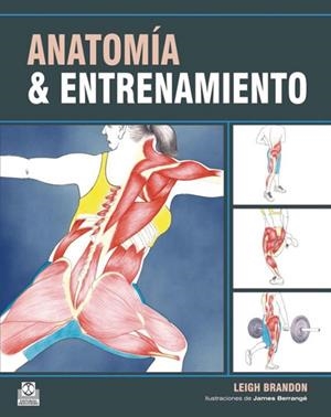 ANATOMÍA & ENTRENAMIENTO | 9788499100548 | BRANDON, LEIGH | Librería Castillón - Comprar libros online Aragón, Barbastro