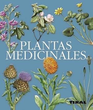PLANTAS MEDICINALES | 9788499280103 | VOLÁK, JAN | Librería Castillón - Comprar libros online Aragón, Barbastro