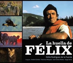 HUELLA DE FÉLIX, LA | 9788425345685 | RODRIGUEZ DE LA FUENTE, ODILE | Librería Castillón - Comprar libros online Aragón, Barbastro