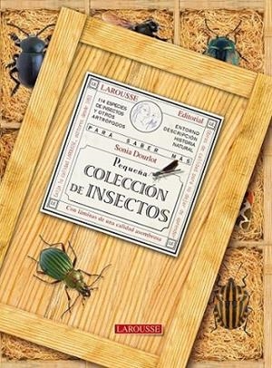 PEQUEÑA COLECCIÓN DE INSECTOS | 9788480169158 | DOURLOT, SONIA | Librería Castillón - Comprar libros online Aragón, Barbastro