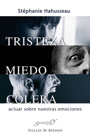TRISTEZA MIEDO COLERA | 9788433024534 | HAHUSSEAU, STÉPHANIE | Librería Castillón - Comprar libros online Aragón, Barbastro