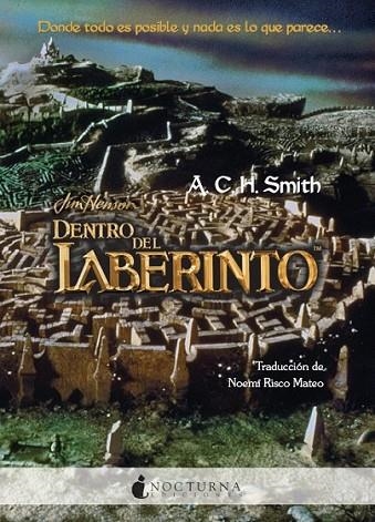 DENTRO DEL LABERINTO | 9788493739676 | SMITH, ANTHONY CHARLES H. | Librería Castillón - Comprar libros online Aragón, Barbastro