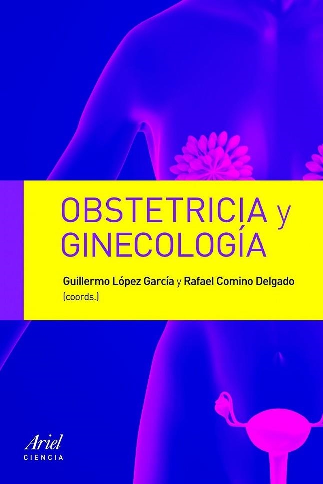 OBSTETRICIA Y GICECOLOGÍA | 9788434413177 | COMINO, RAFAEL | Librería Castillón - Comprar libros online Aragón, Barbastro