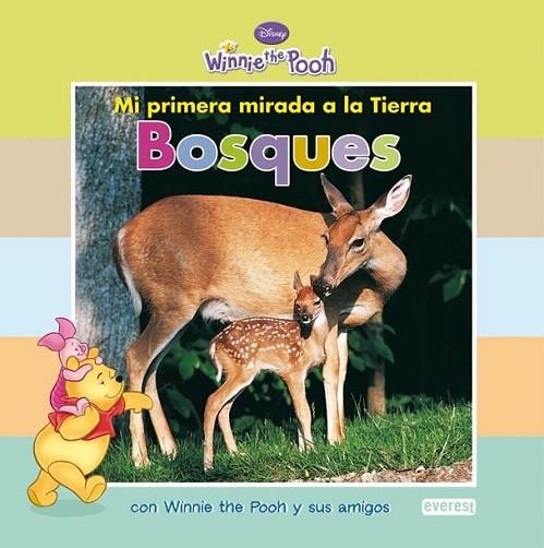 BOSQUES - WINNIE THE POOH MI PRIMERA MIRADA | 9788444164243 | DISNEY | Librería Castillón - Comprar libros online Aragón, Barbastro