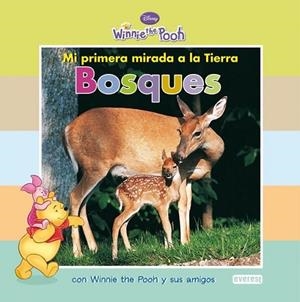 BOSQUES - WINNIE THE POOH MI PRIMERA MIRADA | 9788444164243 | DISNEY | Librería Castillón - Comprar libros online Aragón, Barbastro