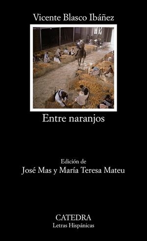 ENTRE NARANJOS | 9788437615851 | BLASCO IBAÑEZ, VICENTE | Librería Castillón - Comprar libros online Aragón, Barbastro