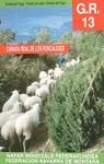 Seis R-13 | 9788487187407 | Federación Navarra de Montaña | Librería Castillón - Comprar libros online Aragón, Barbastro