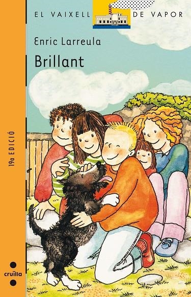 BRILLANT (VVT) | 9788476291603 | LARREULA I VIDAL, ENRIC | Librería Castillón - Comprar libros online Aragón, Barbastro