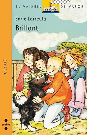 BRILLANT (VVT) | 9788476291603 | LARREULA I VIDAL, ENRIC | Librería Castillón - Comprar libros online Aragón, Barbastro