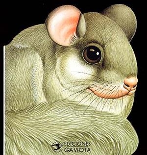 Un Lirón en el bosque | 9788439289050 | Librería Castillón - Comprar libros online Aragón, Barbastro