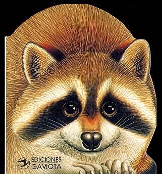 Un Mapache en el río | 9788439288190 | Librería Castillón - Comprar libros online Aragón, Barbastro