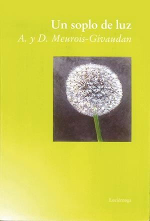 UN SOPLO DE LUZ (BUTXACA) | 9788487232794 | MEUROIS-GIVAUDAN, A. | Librería Castillón - Comprar libros online Aragón, Barbastro