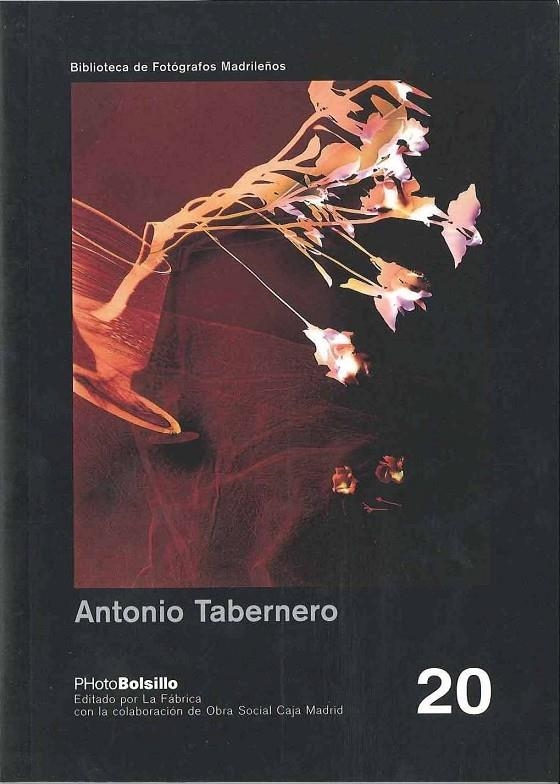 ANTONIO TABERNERO | 9788495471017 | VARIS | Librería Castillón - Comprar libros online Aragón, Barbastro