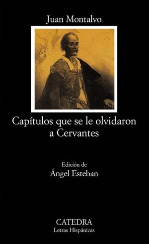 CAPITULOS QUE SE LE OLVIDARON A CERVANTES | 9788437621807 | MONTALVO, JUAN | Librería Castillón - Comprar libros online Aragón, Barbastro